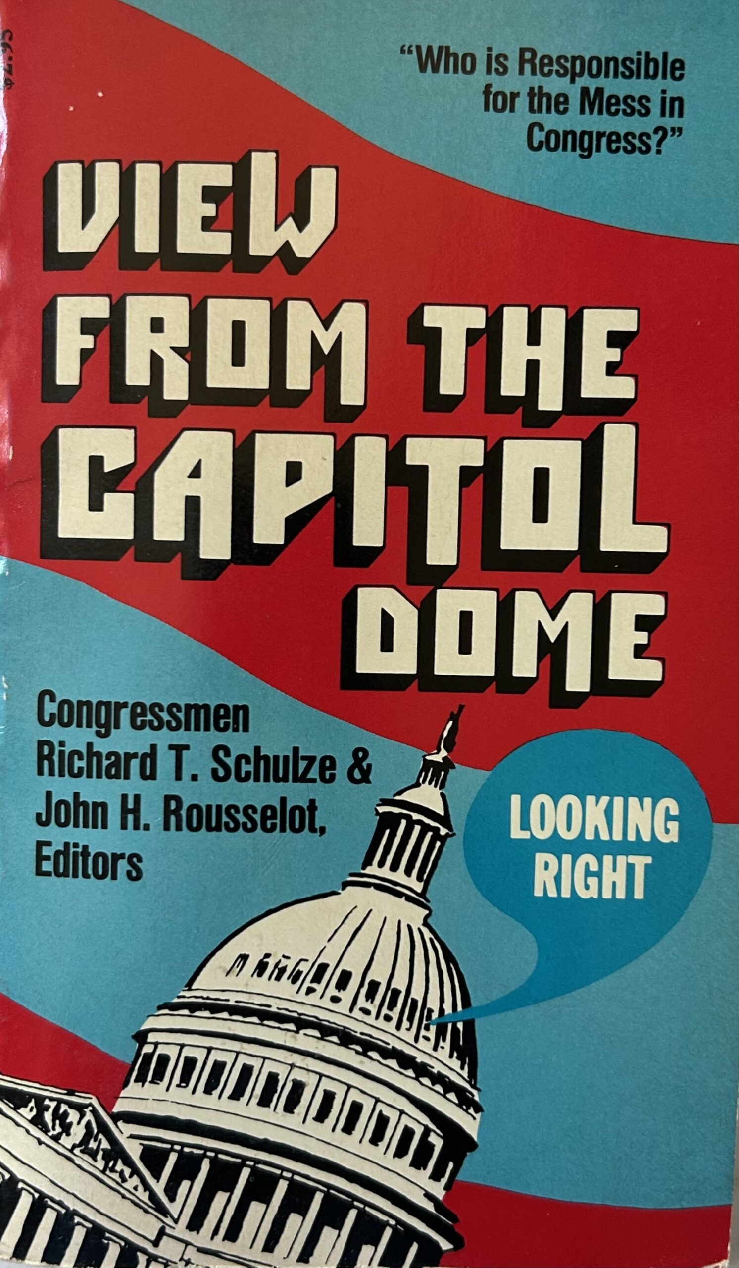 VIEW FROM THE CAPITOL DOME