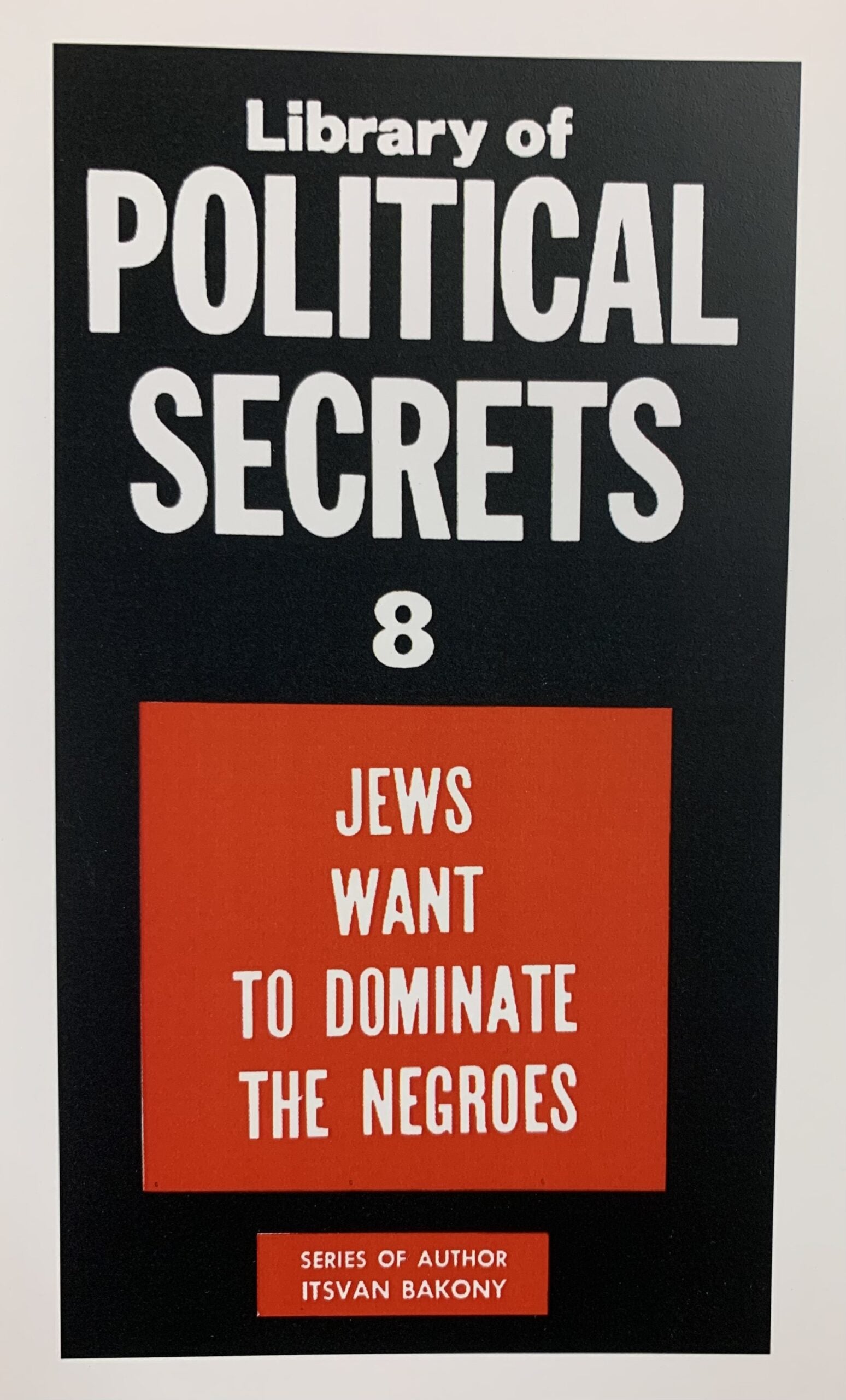 JEWS WANT TO DOMINATE THE NEGROES