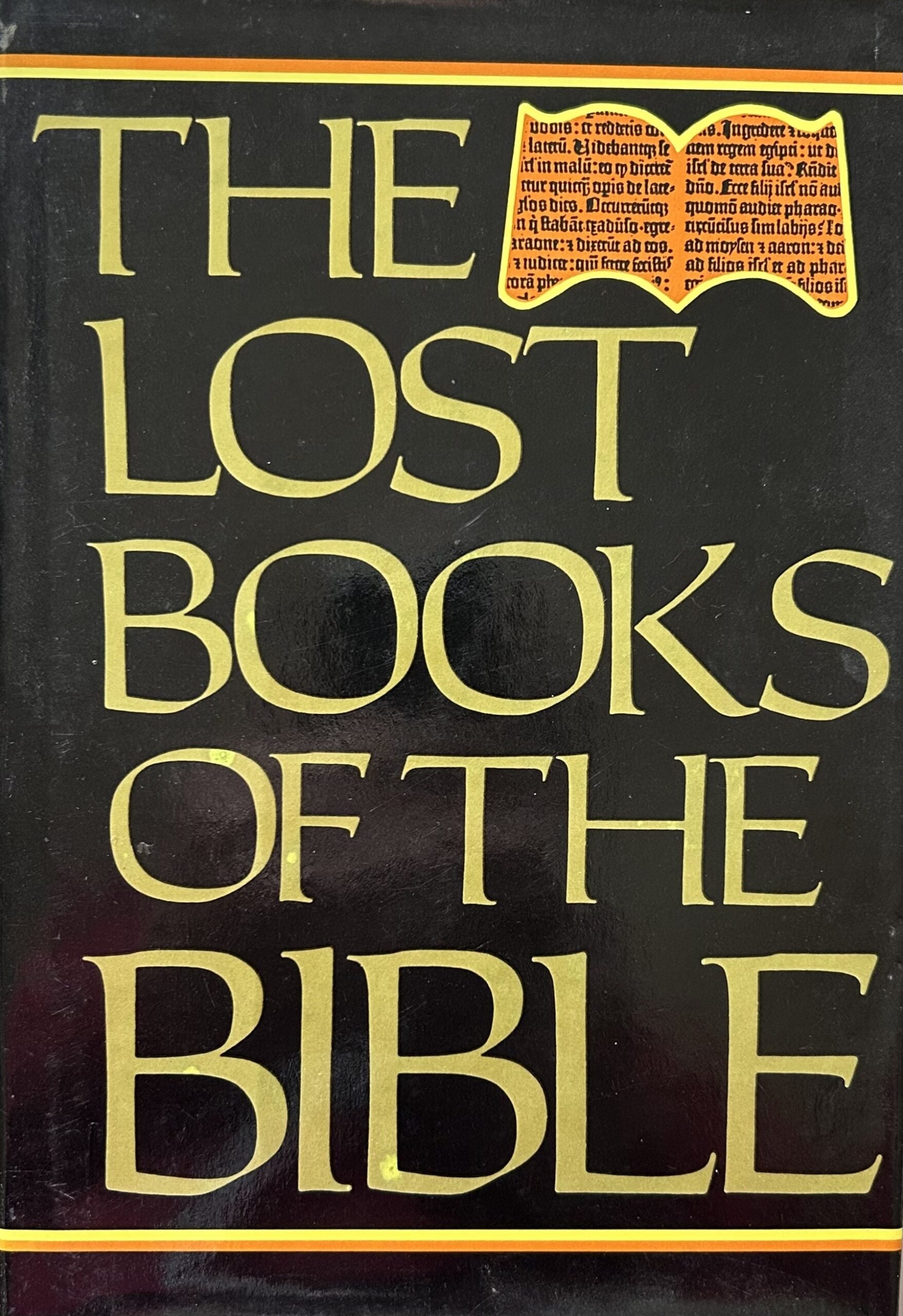 THE LOST BOOKS OF THE BIBLE