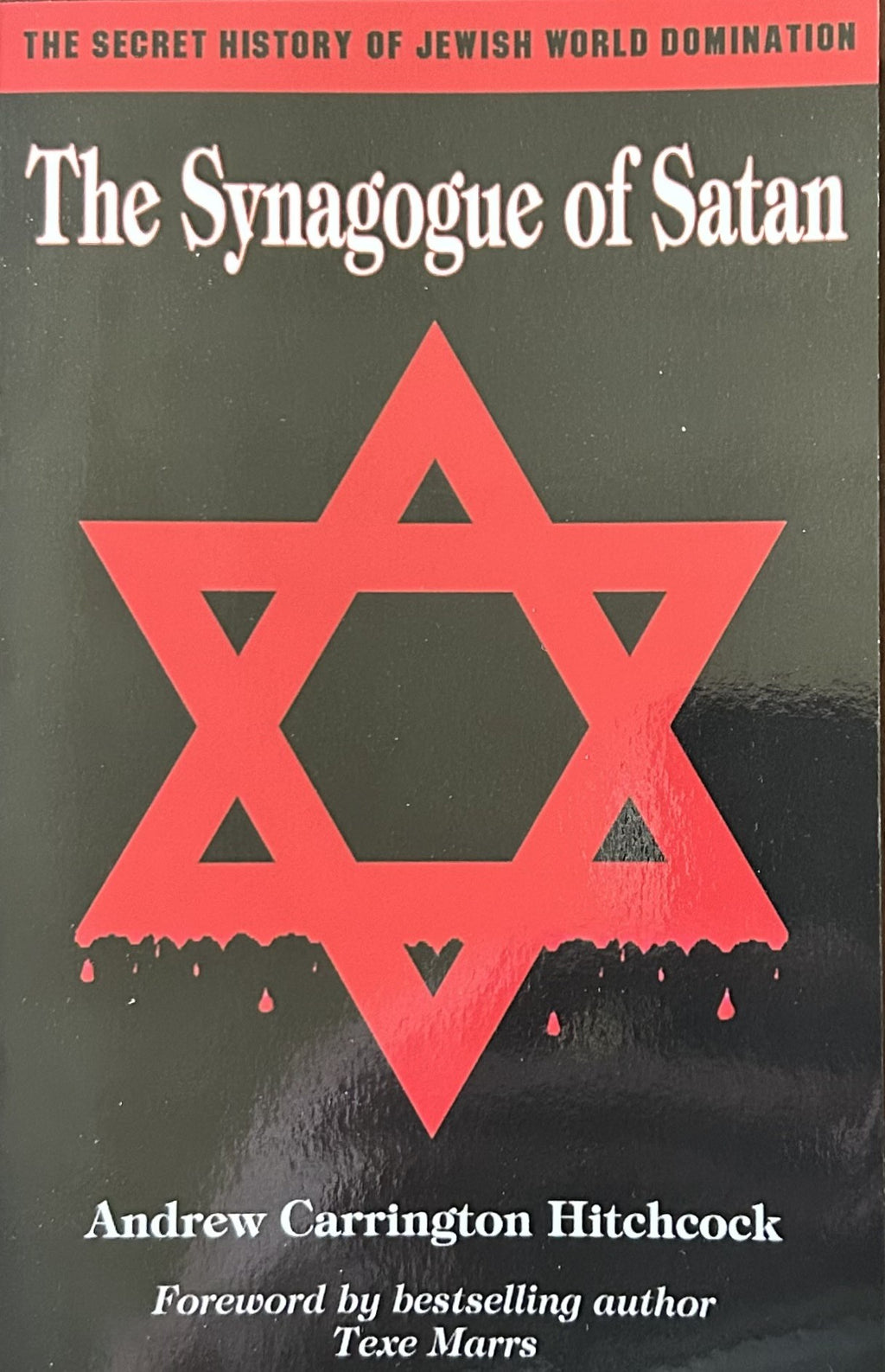 THE SYNAGOGUE OF SATAN (with Texe Marrs Foreword)