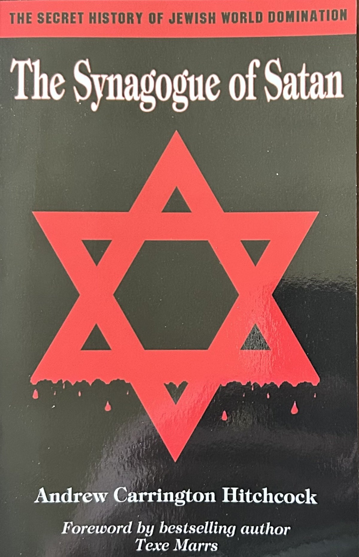 THE SYNAGOGUE OF SATAN (with Texe Marrs Foreword)